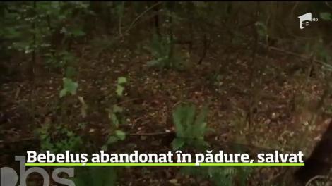 L-au pus într-o pungă de plastic și l-au abandonat în pustietate, dar s-a întâmplat o minune! Cum a fost salvat un bebeluș nemeritat de părinții lui