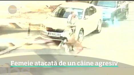 Scene de groază! O femeie şi câinele său, atacaţi de un câine de luptă. Animalul a încercat să mai atace și un copil