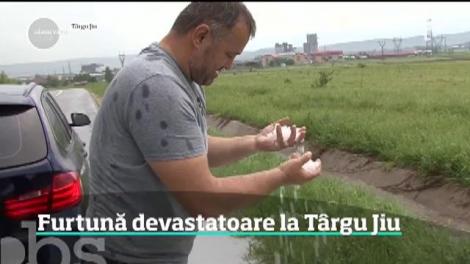 Furtună devastatoare la Târgu Jiu. În România urmează alte vijelii de cod portocaliu şi primul val de caniculă din acest an