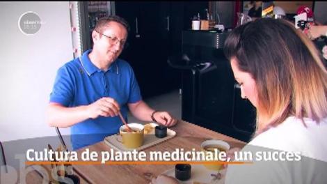 Din ce în ce mai mulţi agricultori renunţă la culturile tradiţionale, în favoarea celor de plante medicinale