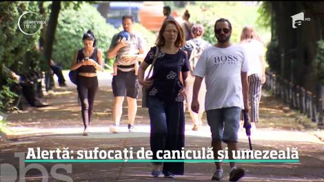 După ploi, vine canicula! Un val de aer tropical din nordul Africii va ajunge mâine în România