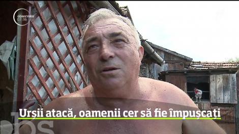 S-au înmulţit peste măsură urşii în Mureş, iar pagubele făcute de animale sunt uriaşe