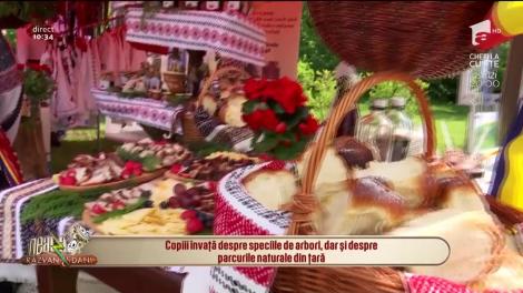 Neatza cu Răzvan și Dani. Bogățiile pădurilor, pe înțelesul copiilor, la Ziua porților deschise de la Romsilva