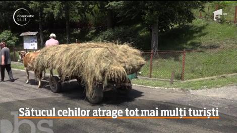 În Mehedinți, un sătuc cu mai puțin de 300 de locuitori atrage din ce în ce mai mulți turiști. Cum arată oaza de liniște, în care cehii sunt la putere