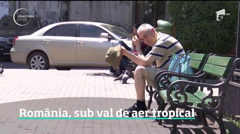România, sub val de aer tropical. Apa din pământul îmbibat de ploile torenţiale a făcut aerul irespirabil