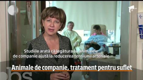 Spital care permite oamenilor să primească vizite din partea animalelor de companie