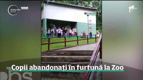Inundaţiile de cod roşu, copii abandonați în furtună la grădină zoologică din Reșița