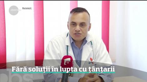 Fără soluții în lupta cu țânțarii. Mai agresivi şi mai mari faţă de anii trecuţi, aceştia îşi aleg cu atenţie ţintele favorite, copiii!