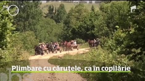 Turiștii care ajung în Harghita, plimbați cu căruțele