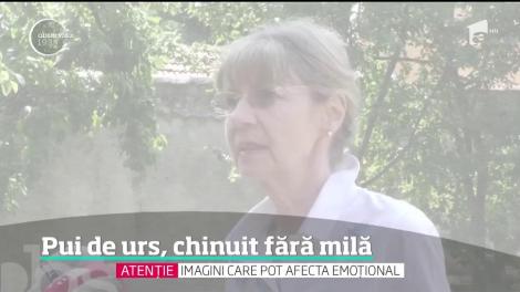 Imagini sfăşietoare cu un pui de urs chinuit, fără milă, de mai mulţi bărbaţi