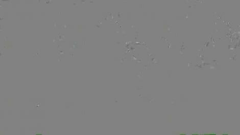 Neatza cu Răzvan și Dani. Delta Dunării, locație superbă pentru o vacanță de vis. De ce ne este recomandat să vizităm acest loc