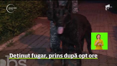 După o zi de alertă maximă în Dâmboviţa, un deţinut care evadase de la punctul de lucru a fost capturat