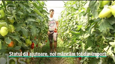 Programul tomata se transformă, dar tot nu salvează piaţa. Importurile de roşii au crescut chiar dacă fermierii au primit bani să cultive mai multe legume