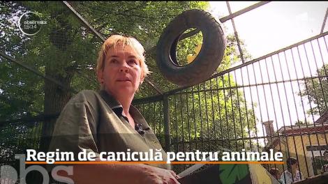 Regim de caniculă pentru animalele din Grădina Zoologică din Târgu Mureş