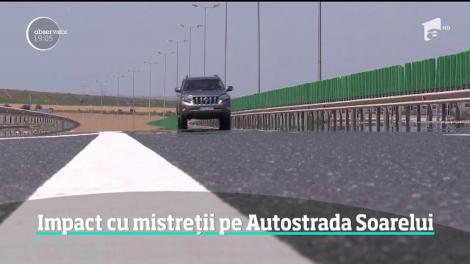 Pe autostradă, ca în junglă! O familie a intrat cu maşina în mai mulţi mistreţi care le-au sărit în faţă