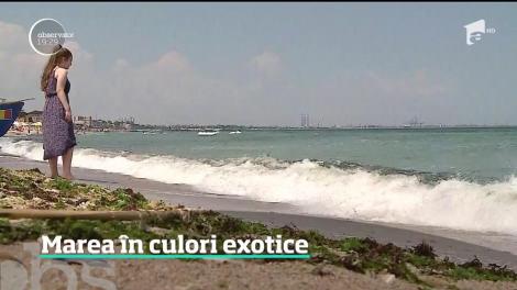Nu trebuie să mergem până pe o insulă la Oceanul Indian, pentru un peisaj exotic. Marea Neagră e mai spectaculoasă ca oricând