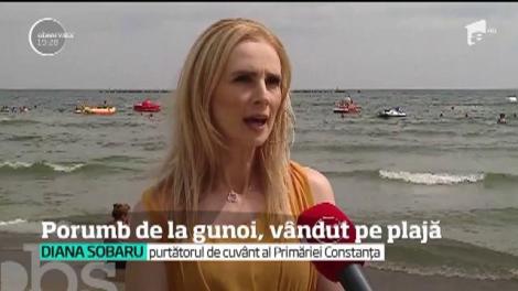 Porumb aruncat la gunoi, vândut turiştilor de pe plajă
