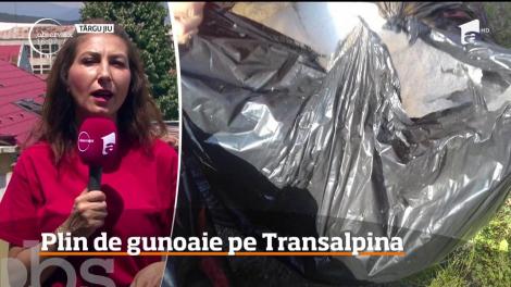 Transalpina începe deja să se umple de gunoaie!