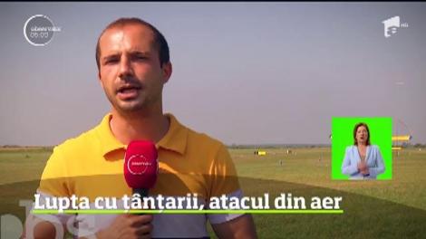 Lupta cu ţânţarii pare fără sfârşit. Deşi se fac tratamente din aer, cu avioane de mici dimensiuni, sau de la sol, rezultatele nu se văd
