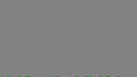 Designerii români în plină ascensiune. Moda românească, succes internațional