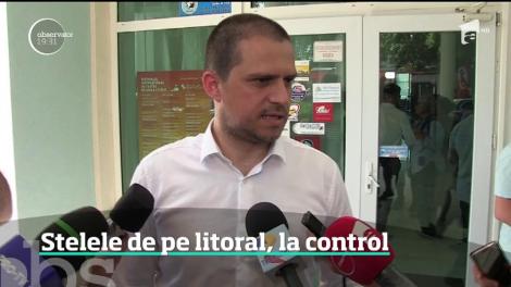 Plouă cu plângeri pe litoralul românesc