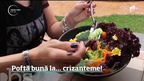 Crizantema comestibilă are foarte multe întrebuințări: alimentară, decorativă sau medicinală