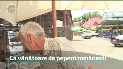 Mult-aşteptatul pepene românesc a apărut în pieţe, mai târziu decât ar fi trebuit