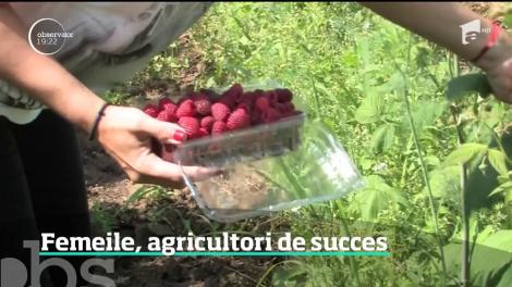 O treime dintre afacerile agricole sunt conduse de femei, arată chiar statisticile europene