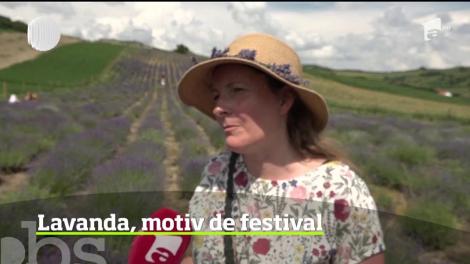 Lavanda, motiv de festival într-un sat din Harghita