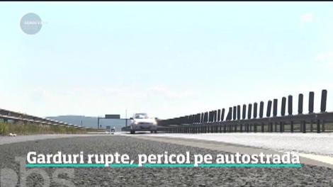 Animale pe autostrăzile României. Gardurile de protecţie sunt peticite din loc în loc