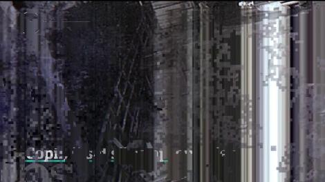 Goana după un selfie duce la gesturi de o inconştienţă fără limite. Mai mulţi turişti cu copii s-au fotografiat cu urşii pe Transfăgăraşan