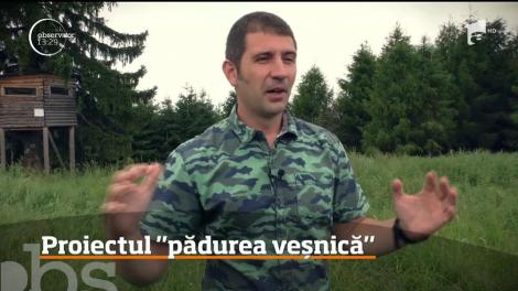 O pădure ca în poveşti, adică nemuritoare şi veşnic verde, este primul proiect de acest gen implementat în România