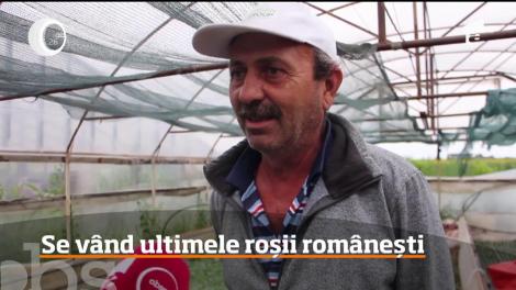 Roşiile româneşti obţinute în culturile subvenţionate de Guvern sunt tot mai puţine în magazine şi pieţe