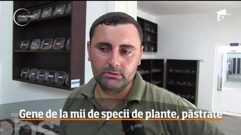 Colecție impresionantă de semințe, păstrate la grădina botanică din Arad