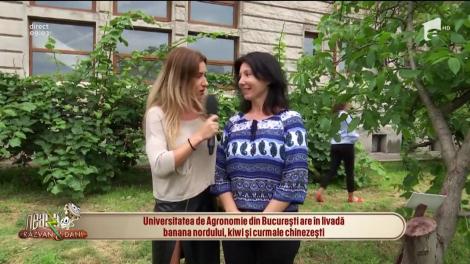 Bananele, kiwi şi rodiile vor putea fi cultivate în viitor şi în România. Prima livadă cu soiuri de fructe exotice