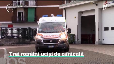 Europa s-a sufocat în cea mai caldă zi din istorie! Trei români au fost ucişi de caniculă, în Italia