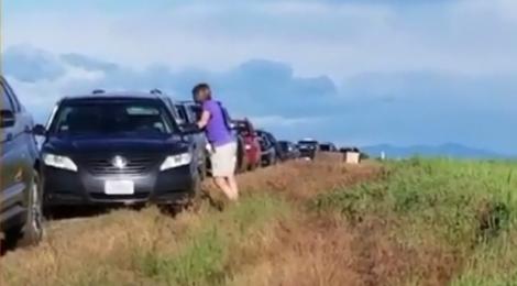 GPS-ul le-a jucat feste șoferilor: "Am ajuns în bălării!" S-au trezit în mijlocul pustietăţii, din cauza unor erori