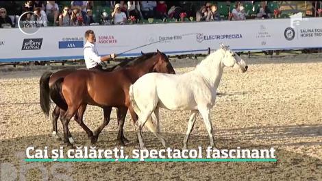Cai și călăreți, spectacol fascinant la Turda
