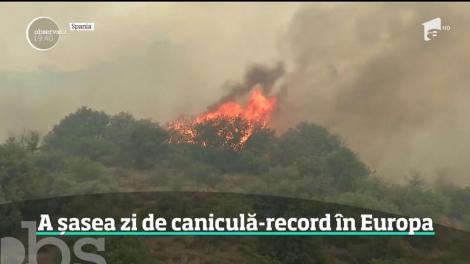 Canicula face ravagii în toată Europa
