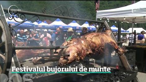 Turiştii şi localnicii de la poalele munţilor Cibinului petrec zile şi nopţi magice la festivalul bujorului românesc