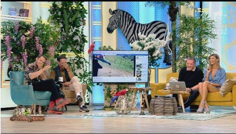 Smiley news - Neatza cu Răzvan și Dani. Primul și ultimul cântăreț cu acordeon pe cal