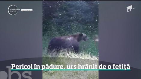 Imaginile inconştienţei lângă Lacul Vidraru din Argeş. O fetiţă hrăneşte un urs din propria palmă