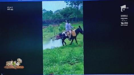 Smiley News - Neatza cu Răzvan și Dani. Cântarul buclucaș și măgarul cu motor