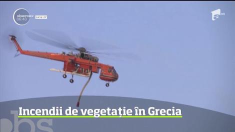 Incendii de vegetaţie masive pe una dintre cele mai mari insule din Grecia