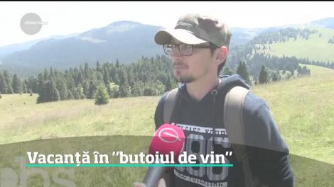 Vacanță într-un butoi de vin, în Munţii Apuseni