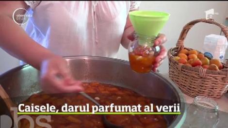 Caisele, darul parfumat al verii