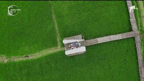 Povestea celor șapte femei din China care și-au făcut o casă de vis, ca în reviste