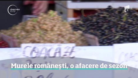 Murele românești, o afacere de sezon