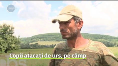 Copii atacați de urs, pe câmp, în plină zi! Animalul a atacat brusc, sub privirile îngrozite ale mamei celor doi