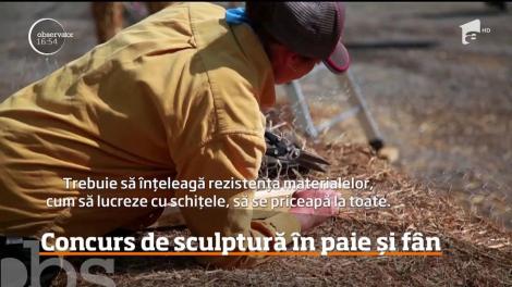 Concurs de sculptură în paie și fân, în Alpii Francezi